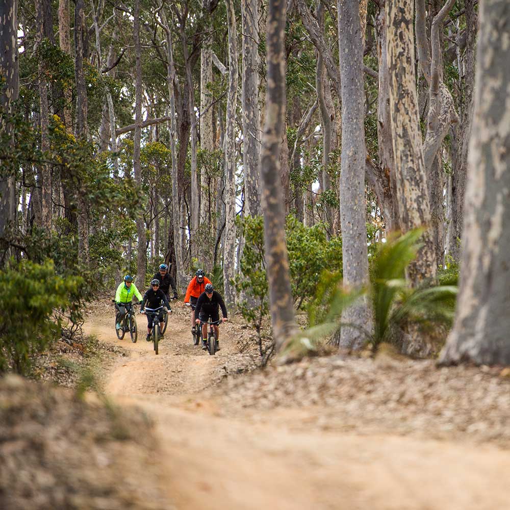 Sapphire Coast Kayak Tours | Sapphire Coast Guiding Co