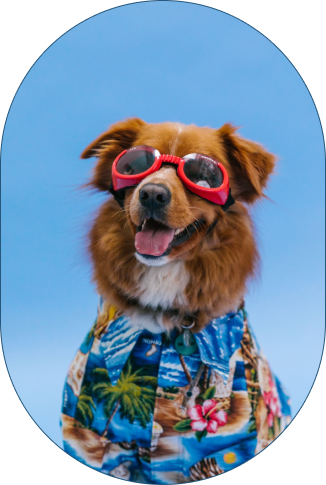 Dog resort in Howard, PA
