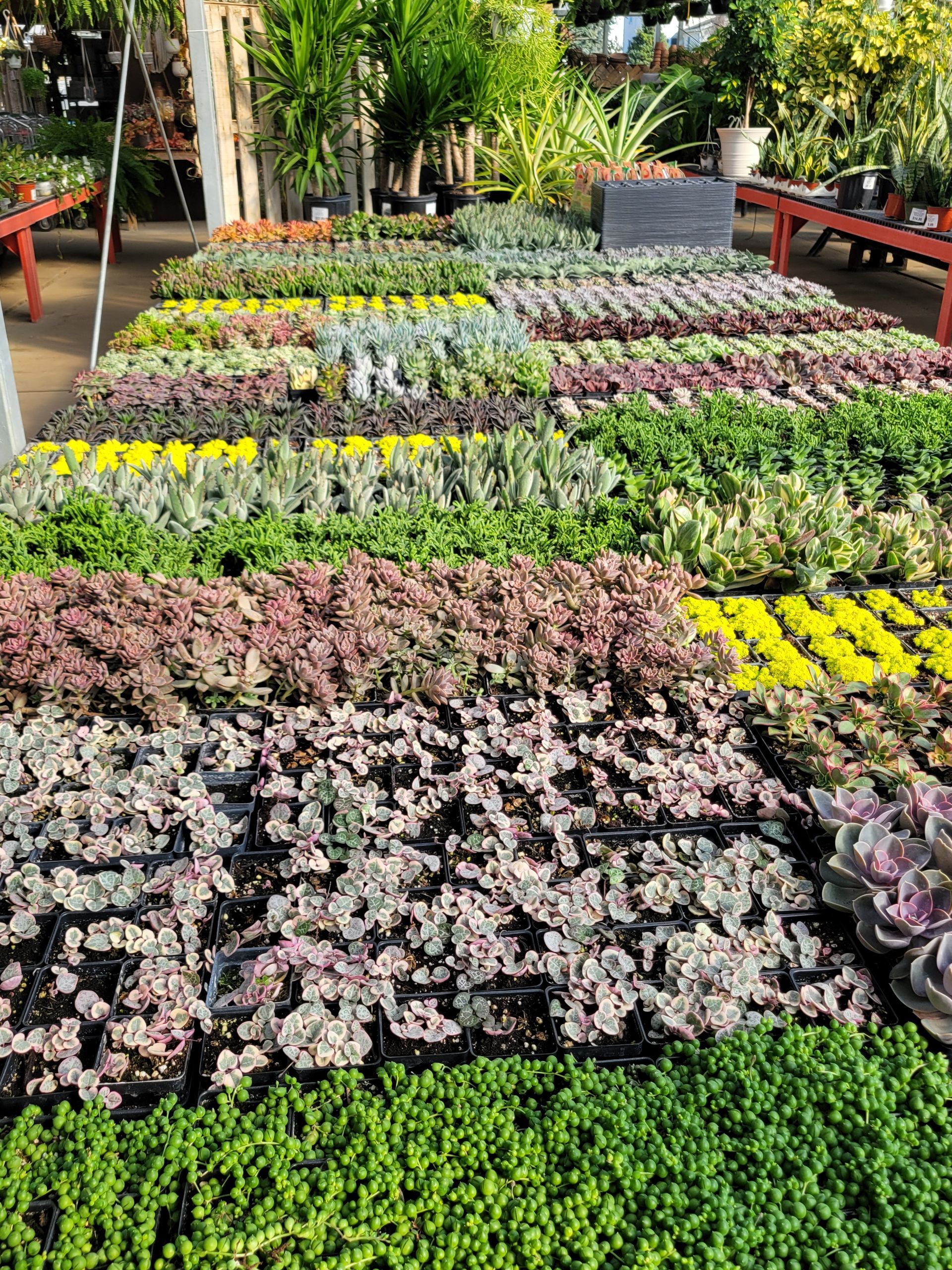Bird Feeders — Ronks, PA — Sunny Spot Nursery