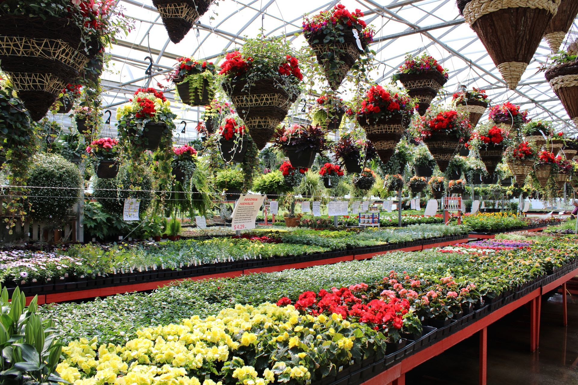 Different Flowers — Ronks, PA — Sunny Spot Nursery