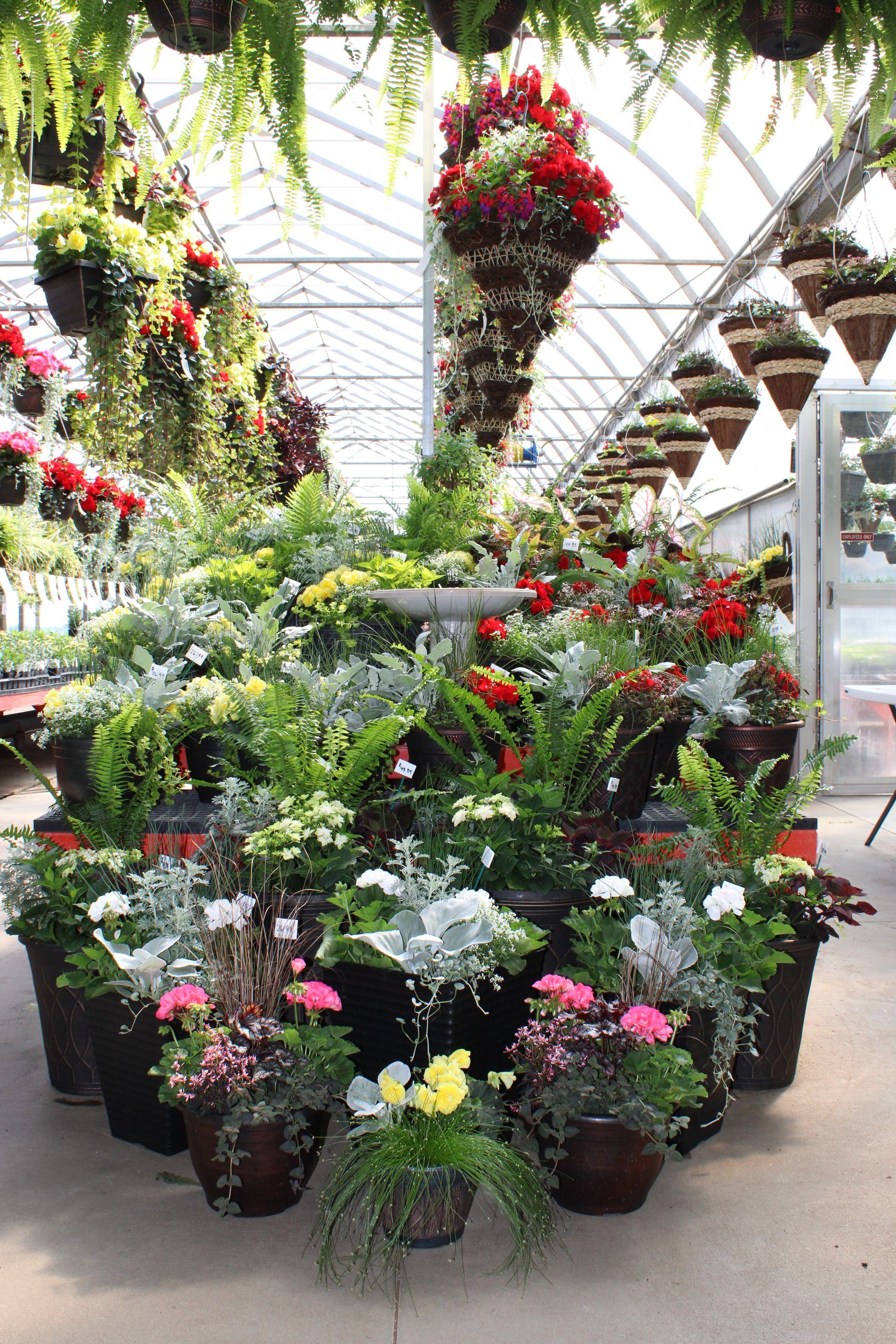 Different Flowers — Ronks, PA — Sunny Spot Nursery