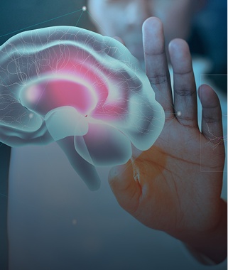 Brain and skull base tumors