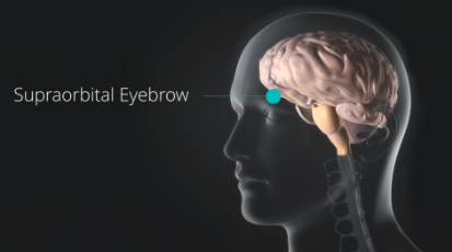 Pituitary