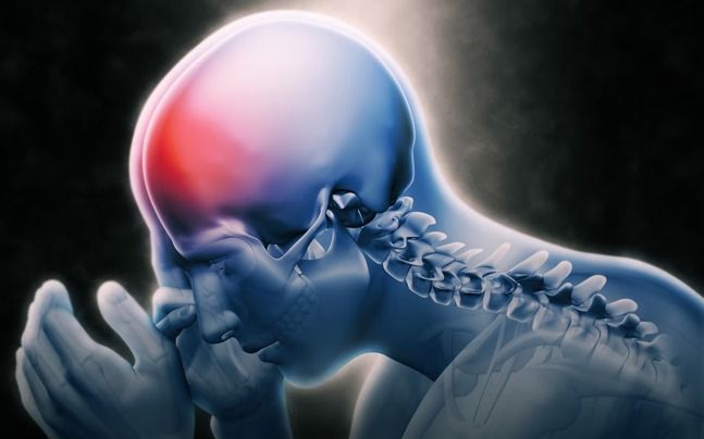 Skull Base & Pituotary surgery