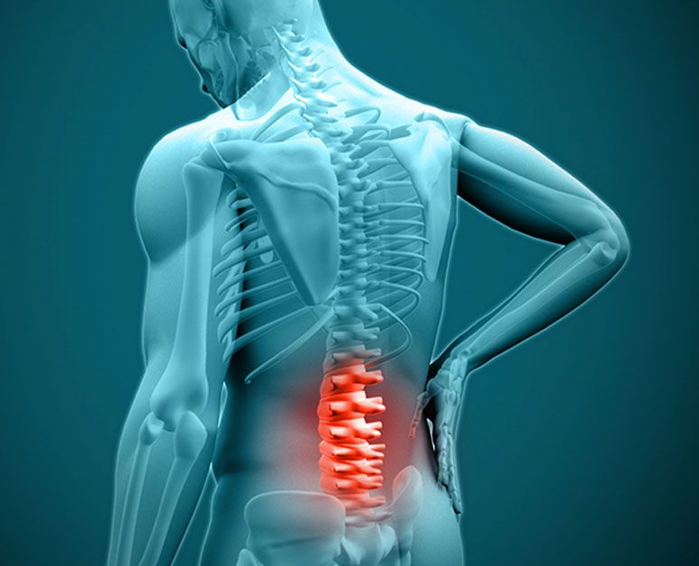 Pituitary