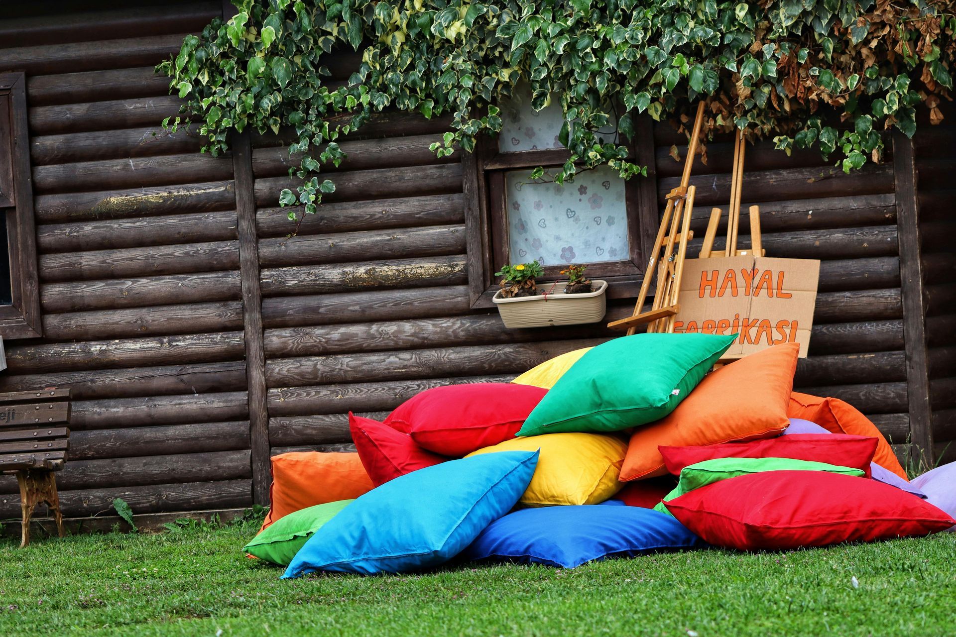 Namib Cushion