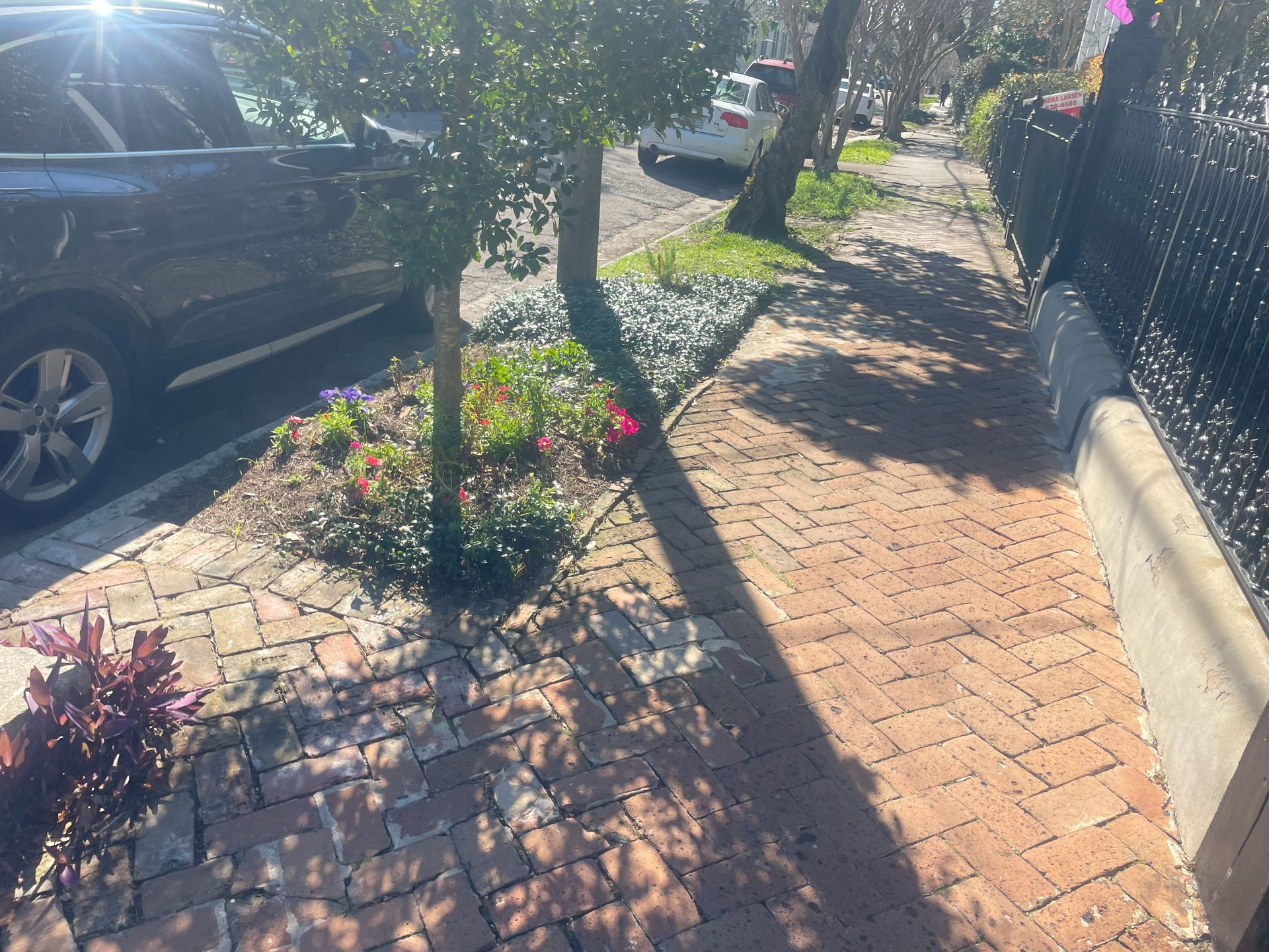 Sunny brick sidewalk lined with flowers and trees beside parked cars and a black fence