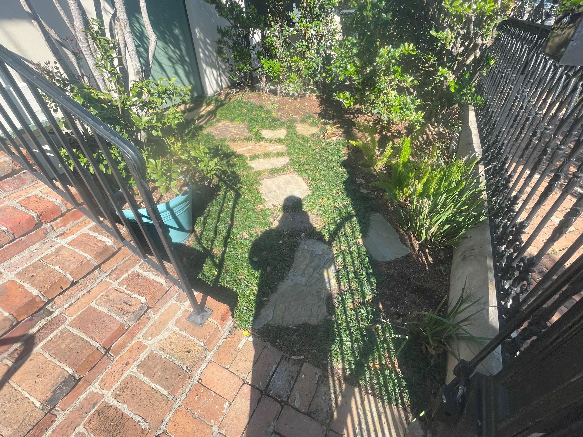 Narrow sunlit garden path with brick steps, green plants, and black metal fence rails.