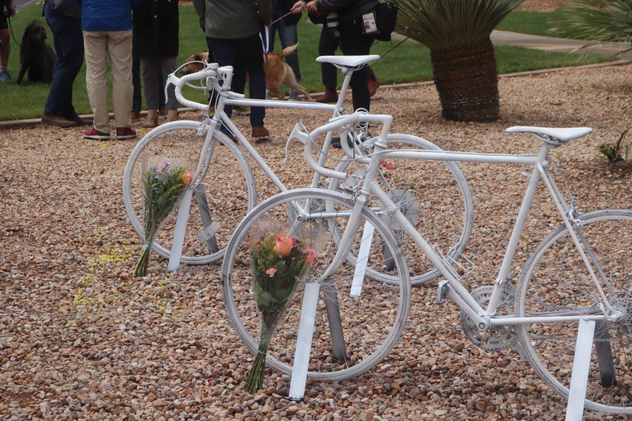 Two bicycle colored white