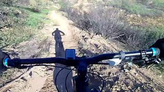 Cheeseboro loop downhill