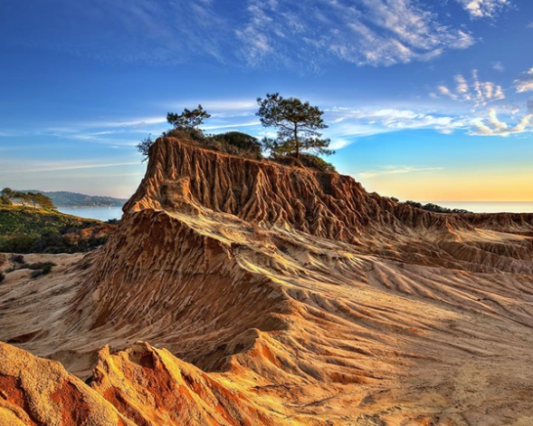 Torrey Pines