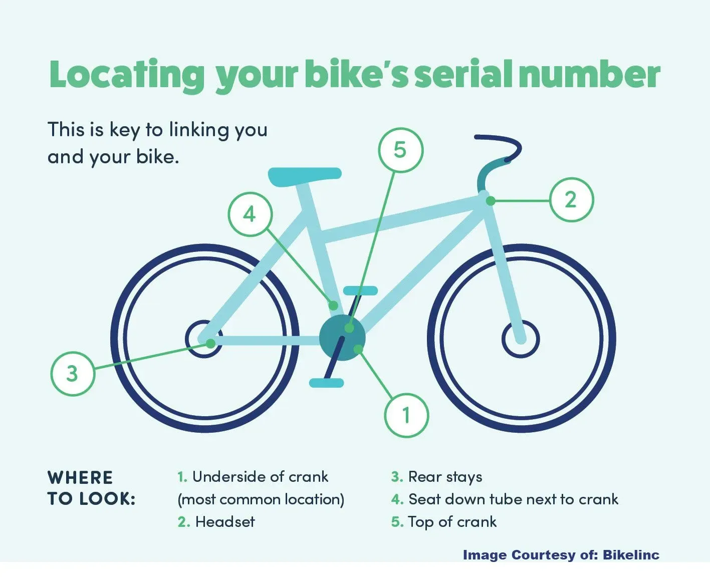 Illustration of where to look on a bicycle for the serial number