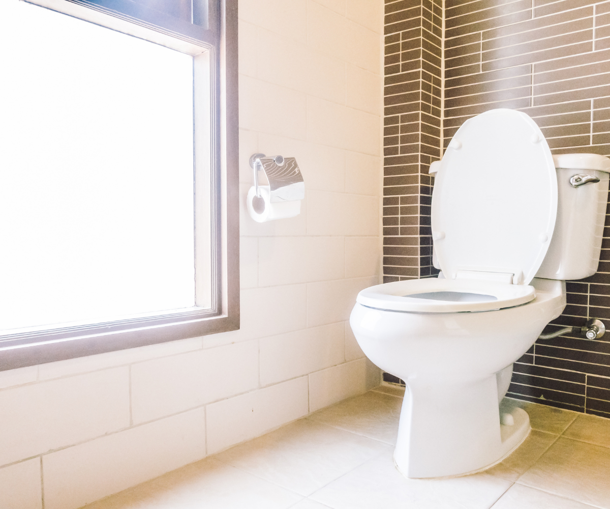 toilet repair and installation orillia