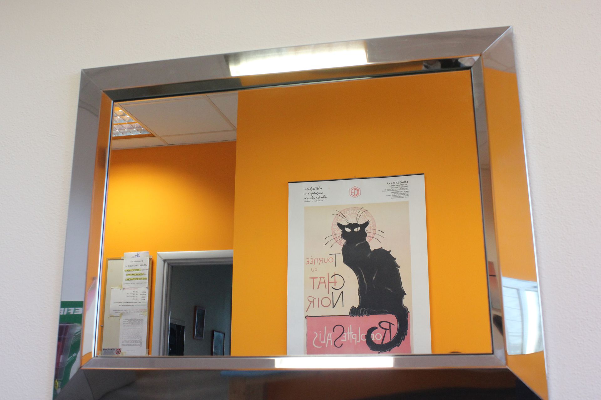 Poster in una cornice di vetro su una parete arancione, con un gatto nero e grafiche rosa.
