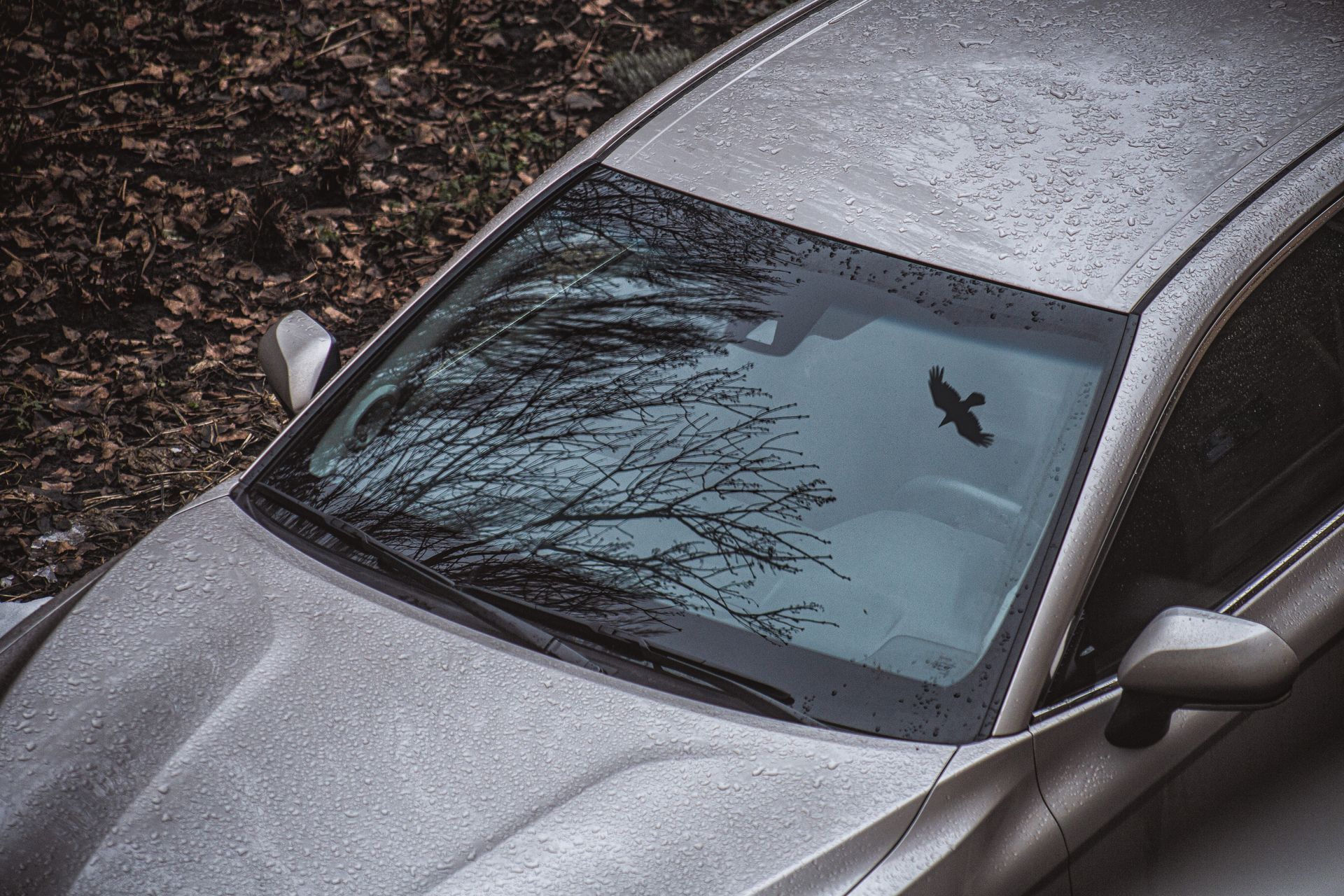 auto glass repair services in Gaston County, NC