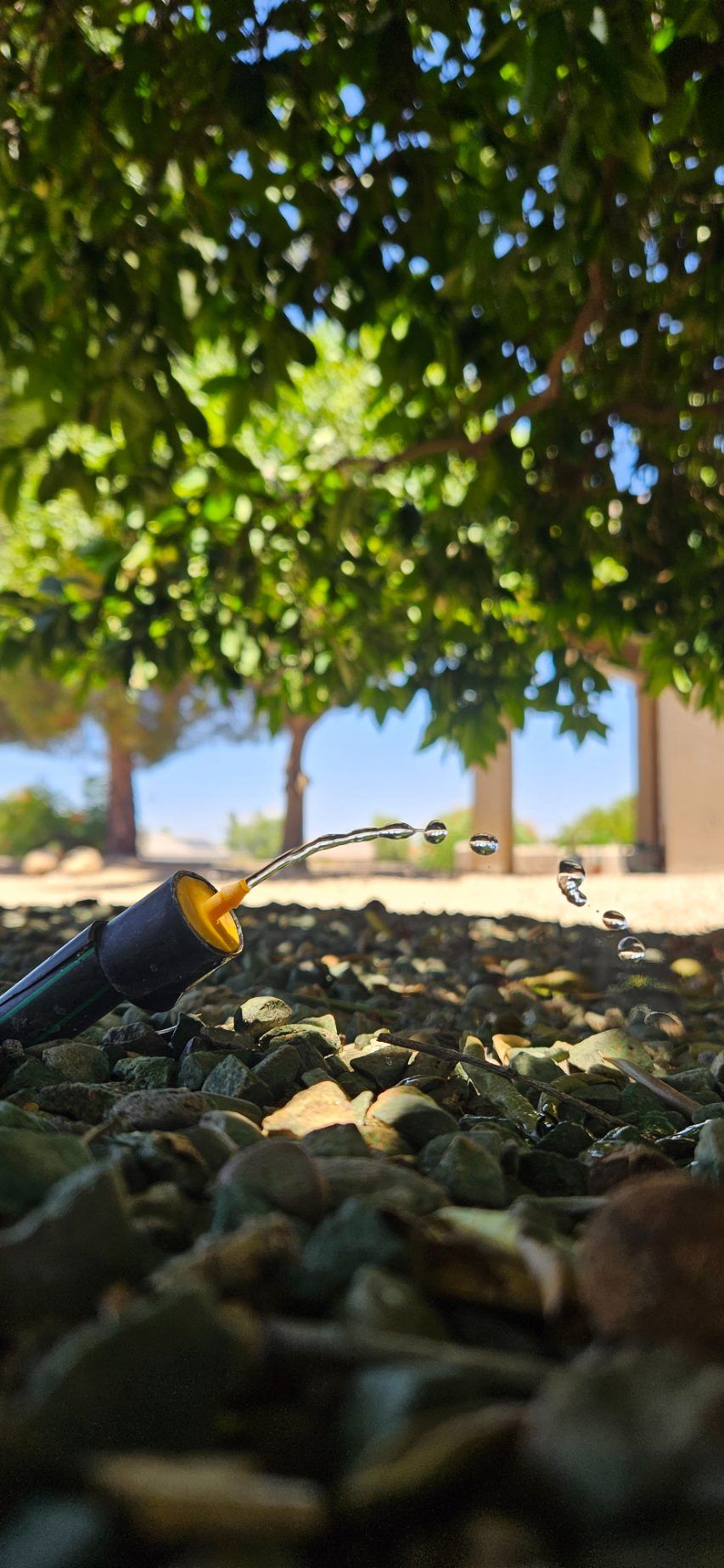 Drip System Services