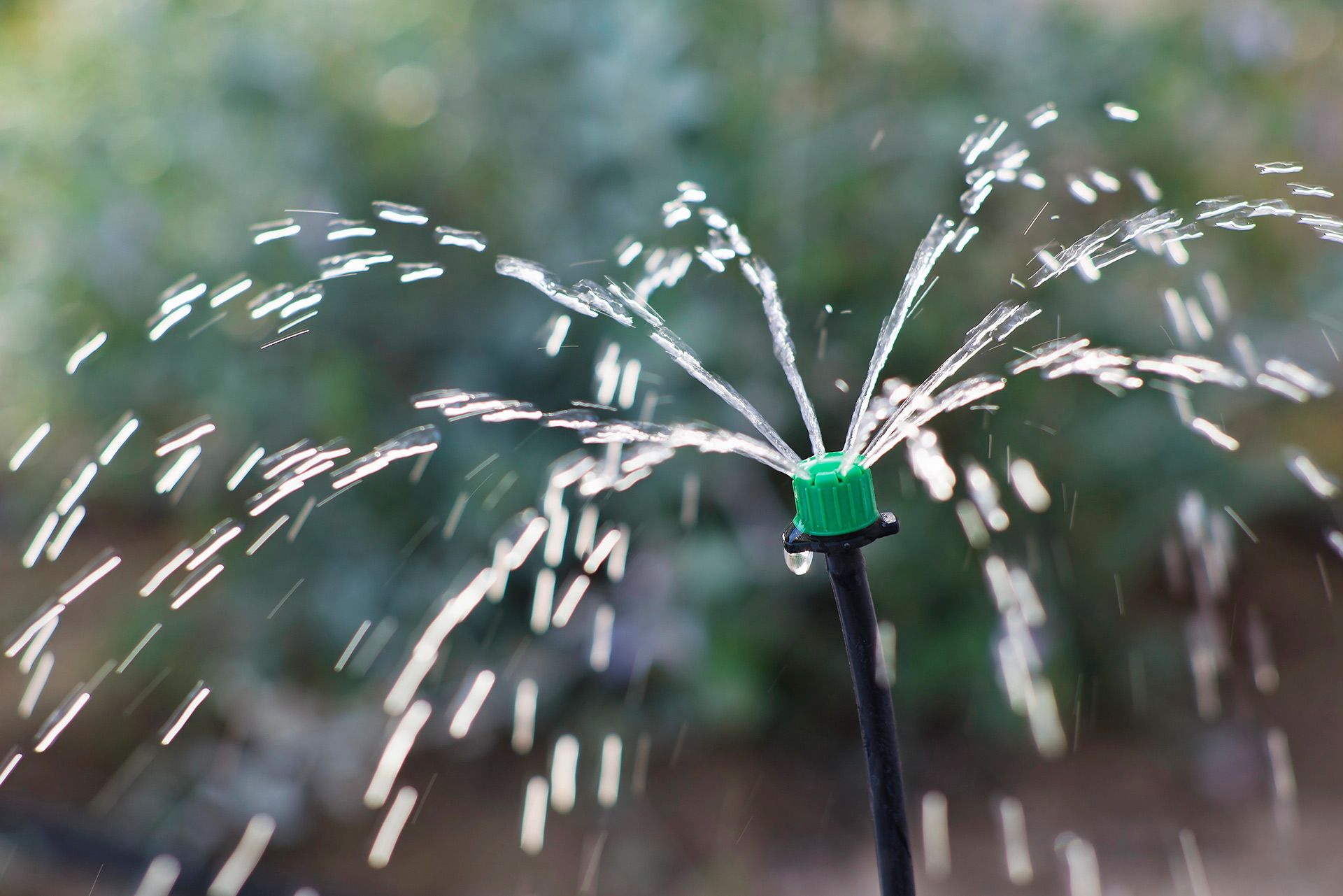 Sprinkler head spraying water in a garden setting, creating droplets against a blurred green background.