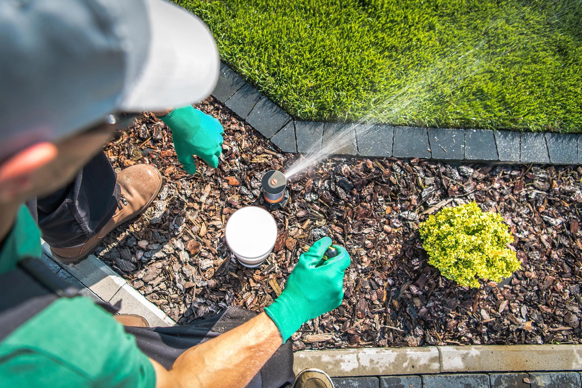 Man in green gloves adjusts sprinkler head in a garden bed with mulch and a green plant.