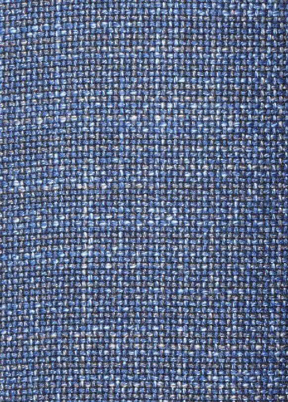 Blue Sportscoat