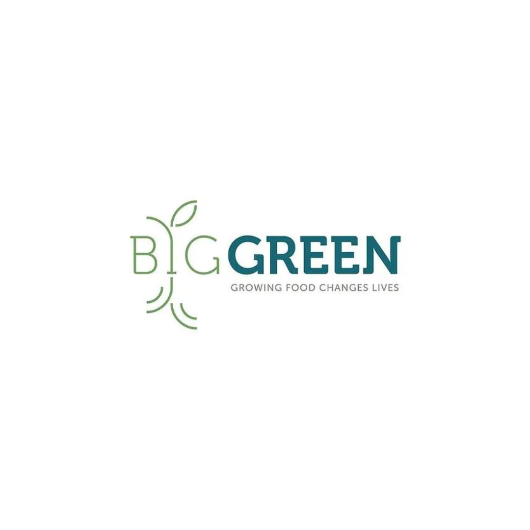 A logo for a company called big green