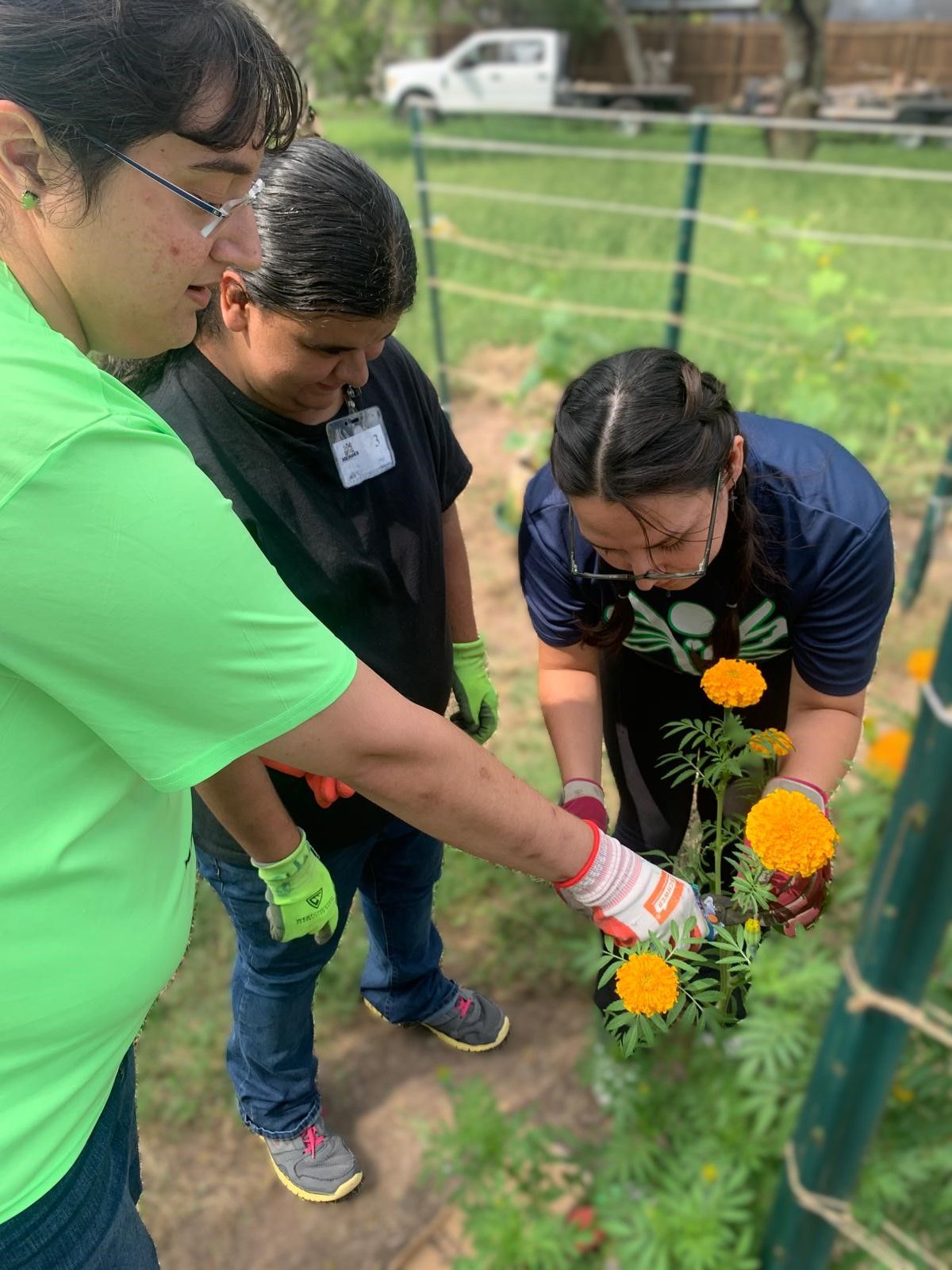 A group of people are planting flowers in a garden.