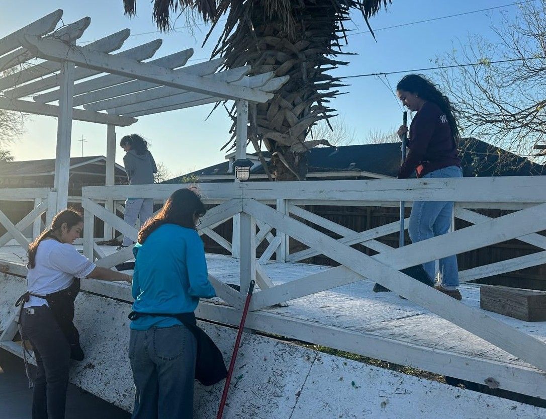 Four people painting a white wooden fence and pergola outdoors. Bright, sunny day.