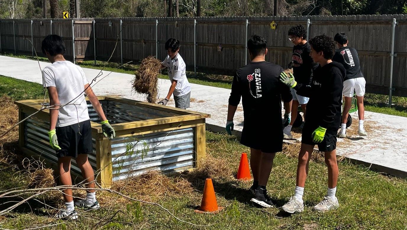 Group of teens filling a raised garden bed with hay; outdoors on a sunny day.