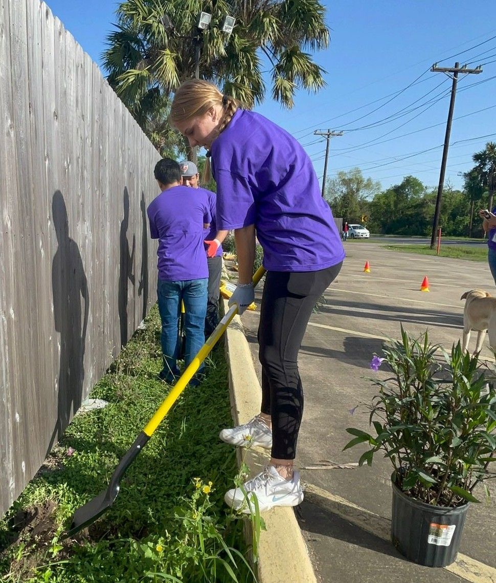 People in purple shirts weeding along a fence. One holds a garden tool, another in background. Sunny day.