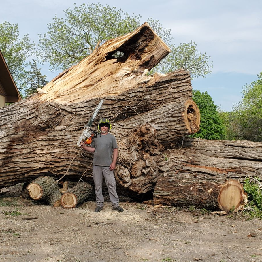 Man standing beside a huge fallen tree trunk in a dirt clearing, holding a chainsaw