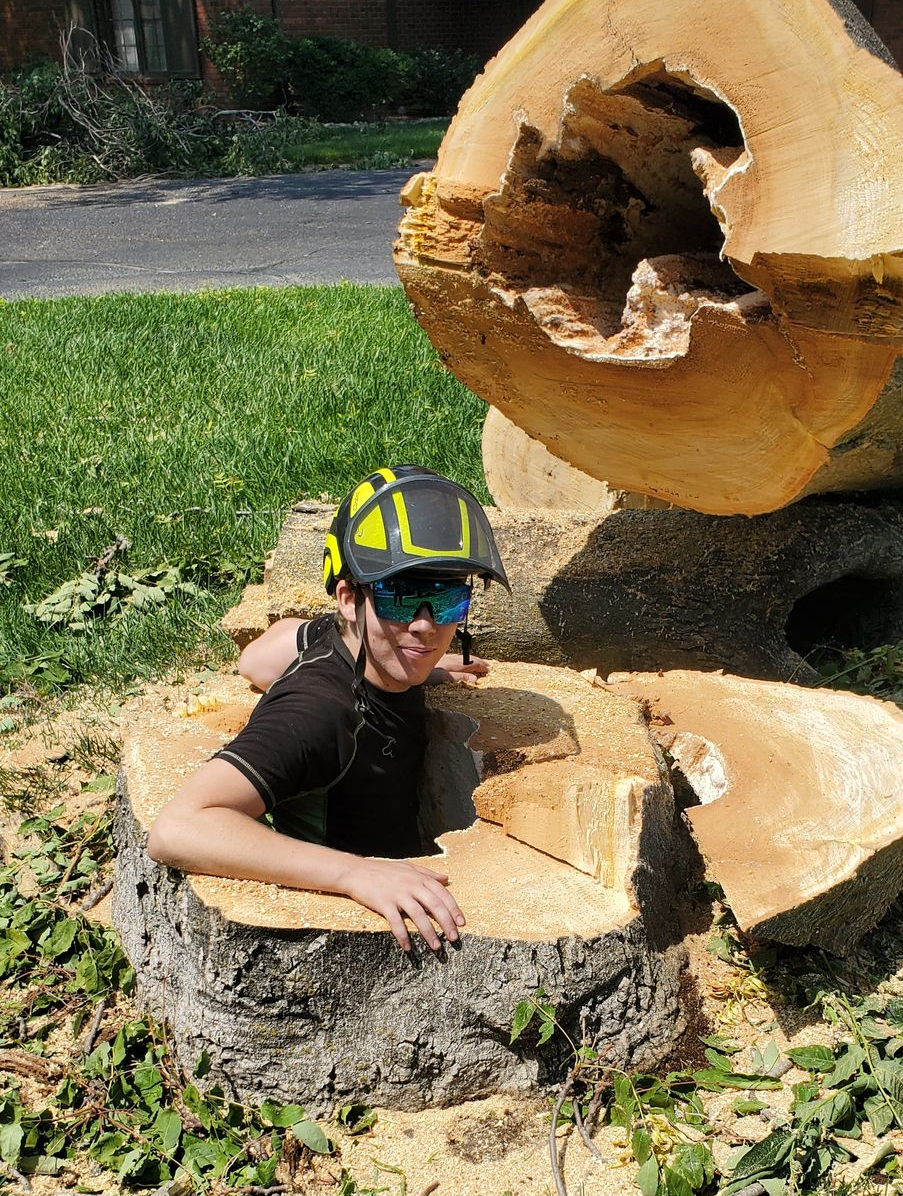 Person in a tree trunk, wearing a helmet and sunglasses, surrounded by cut wood outdoors.