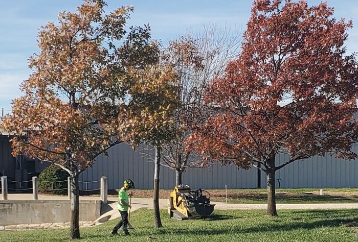 People mowing grass by trees with autumn leaves near a building