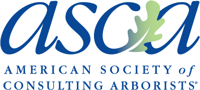 American Society of Consulting Arborists logo with blue lowercase “asca” and green leaf accent