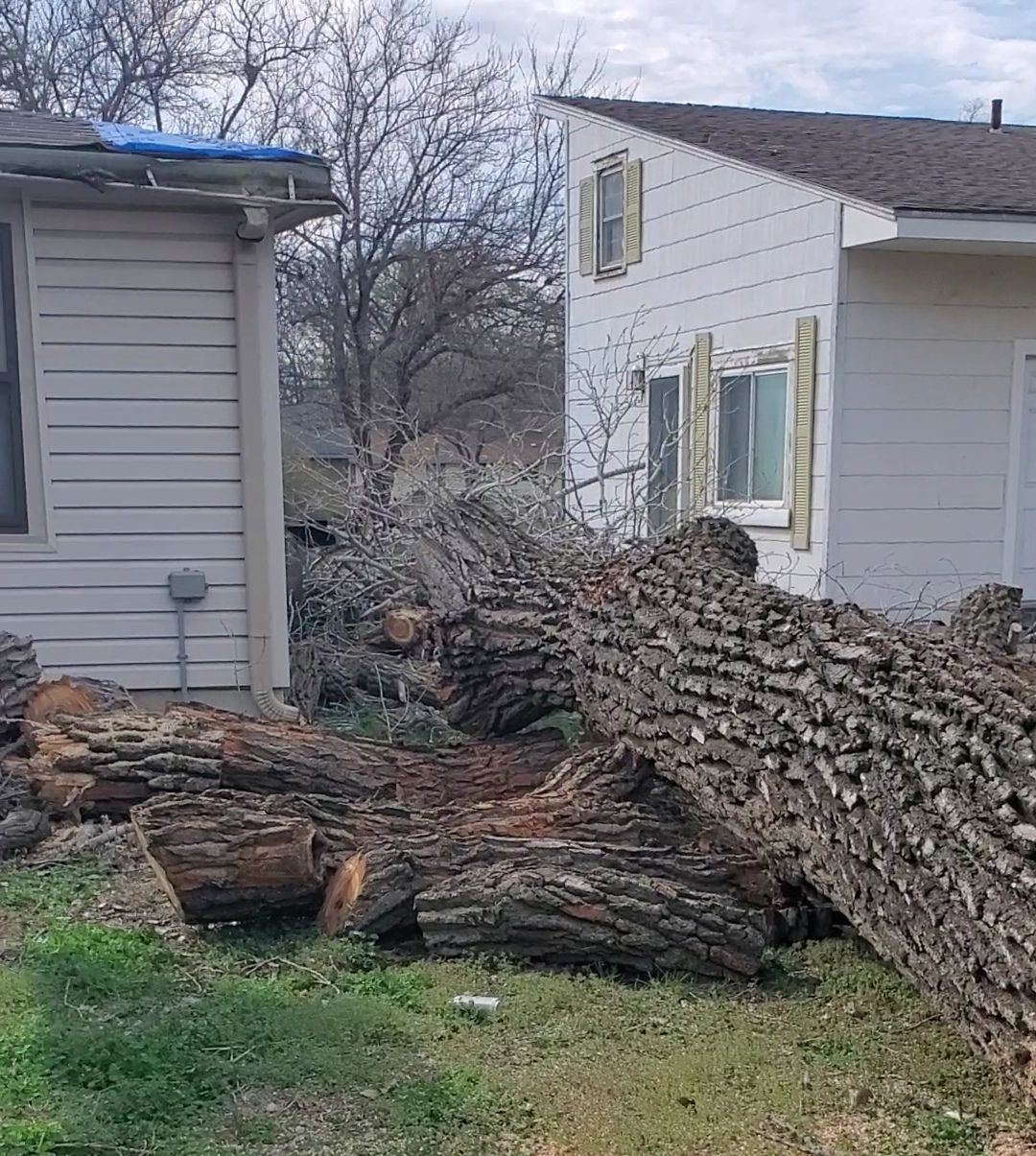Stacked firewood beside two houses in a yard with leafless trees.