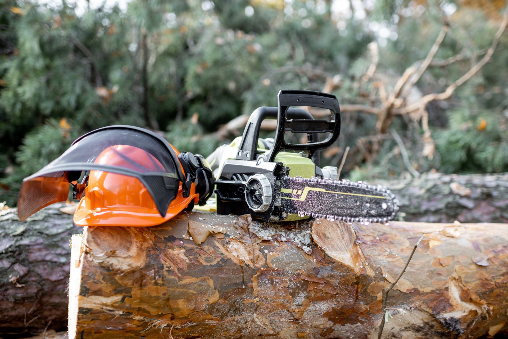 Chainsaw with orange safety helmet resting on a cut log outdoors
