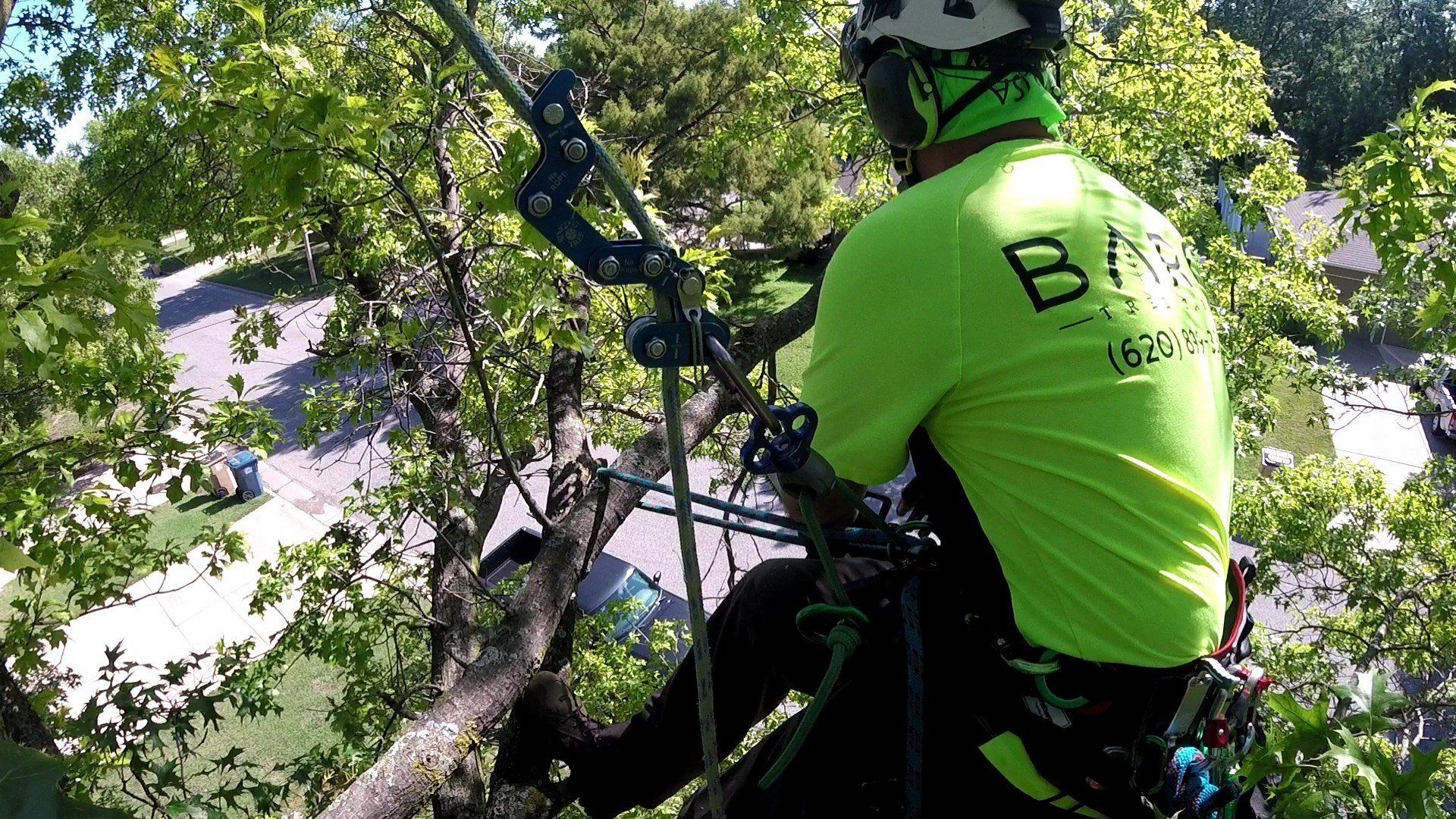 Climber in neon green shirt ascending a tree with ropes, surrounded by leafy branches and sky.