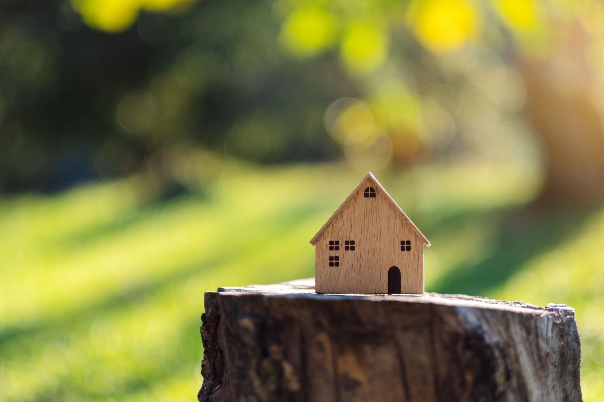Tiny wooden house on a tree stump with a blurred green outdoor background.