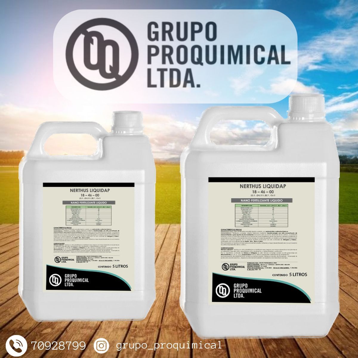 Dos contenedores blancos de productos químicos de Grupo Proquimical LTDA expuestos sobre una superficie de madera .