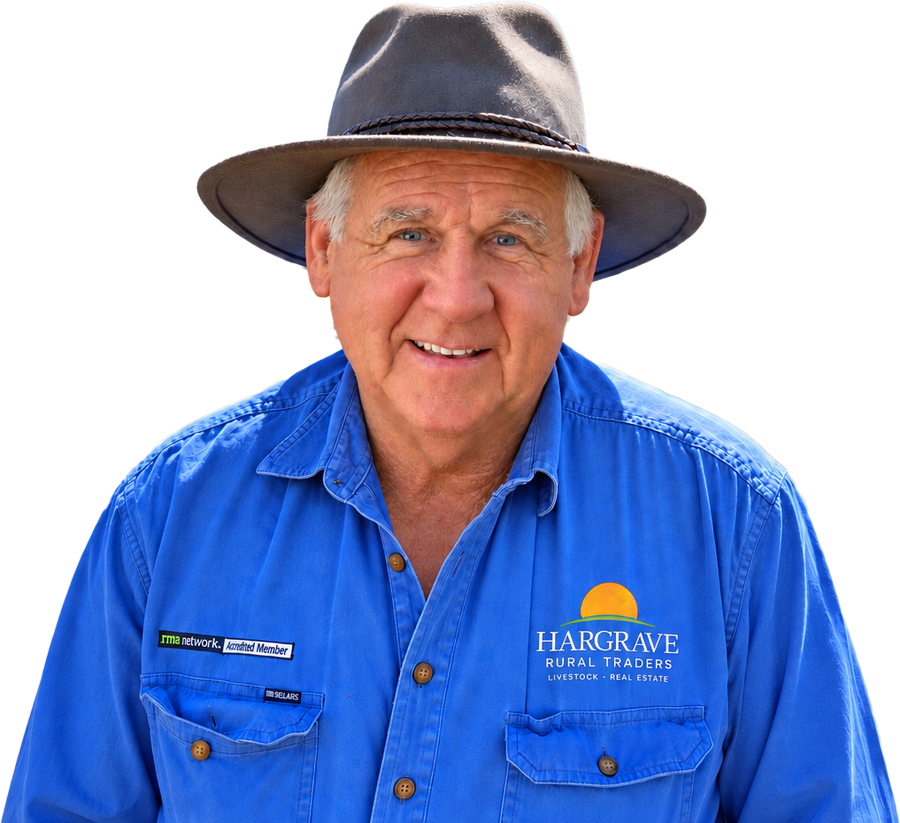 David Hargrave, stock and station agent, Lake Cargelligo