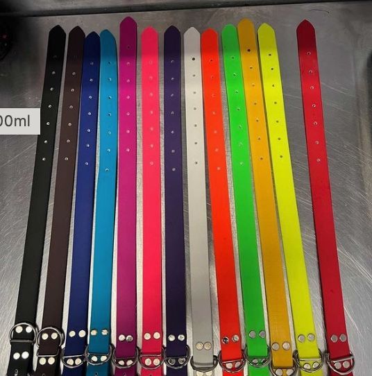 Dog Collars
