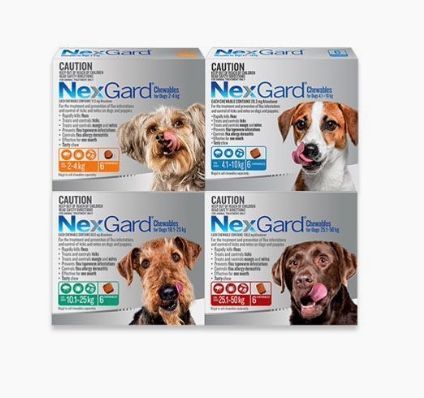 NexGard Chew Flea Treatment 4.1kg - 10kg (6)