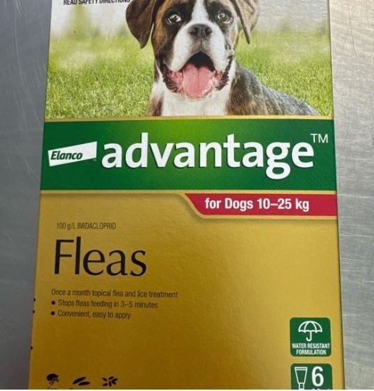 Advantage Flea Treatment 10kg-25kg (6)