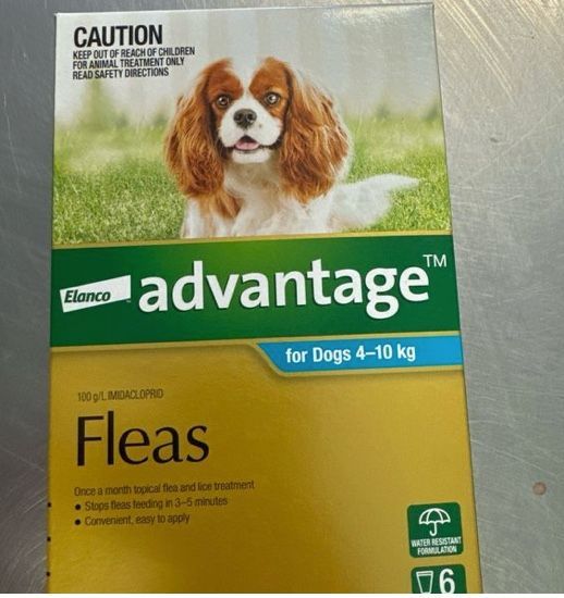 Advantage Flea Treatment 4kg-10kg (6)