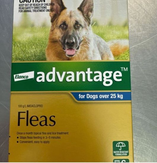 Advantage Flea Treatment 25kg+ (6)