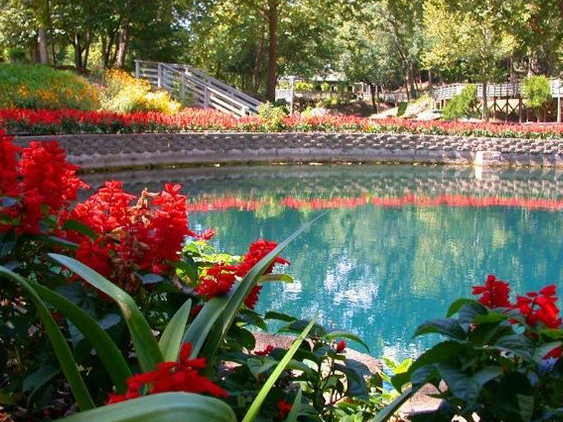 A pond with red flowers in the foreground and trees in the background