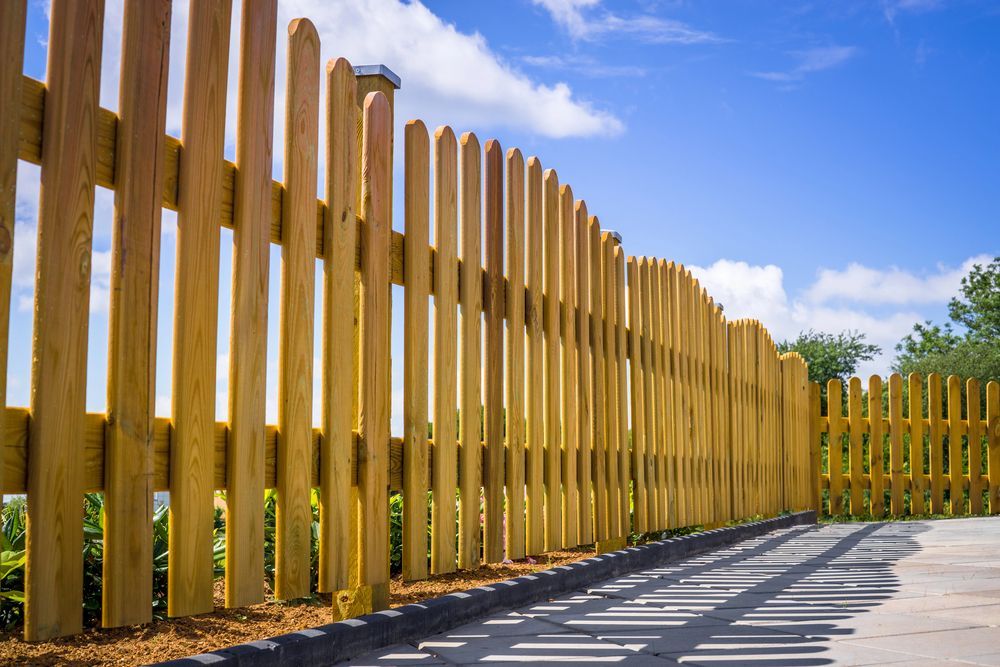 Lightwood picket fence with arched top panels and blue sky.