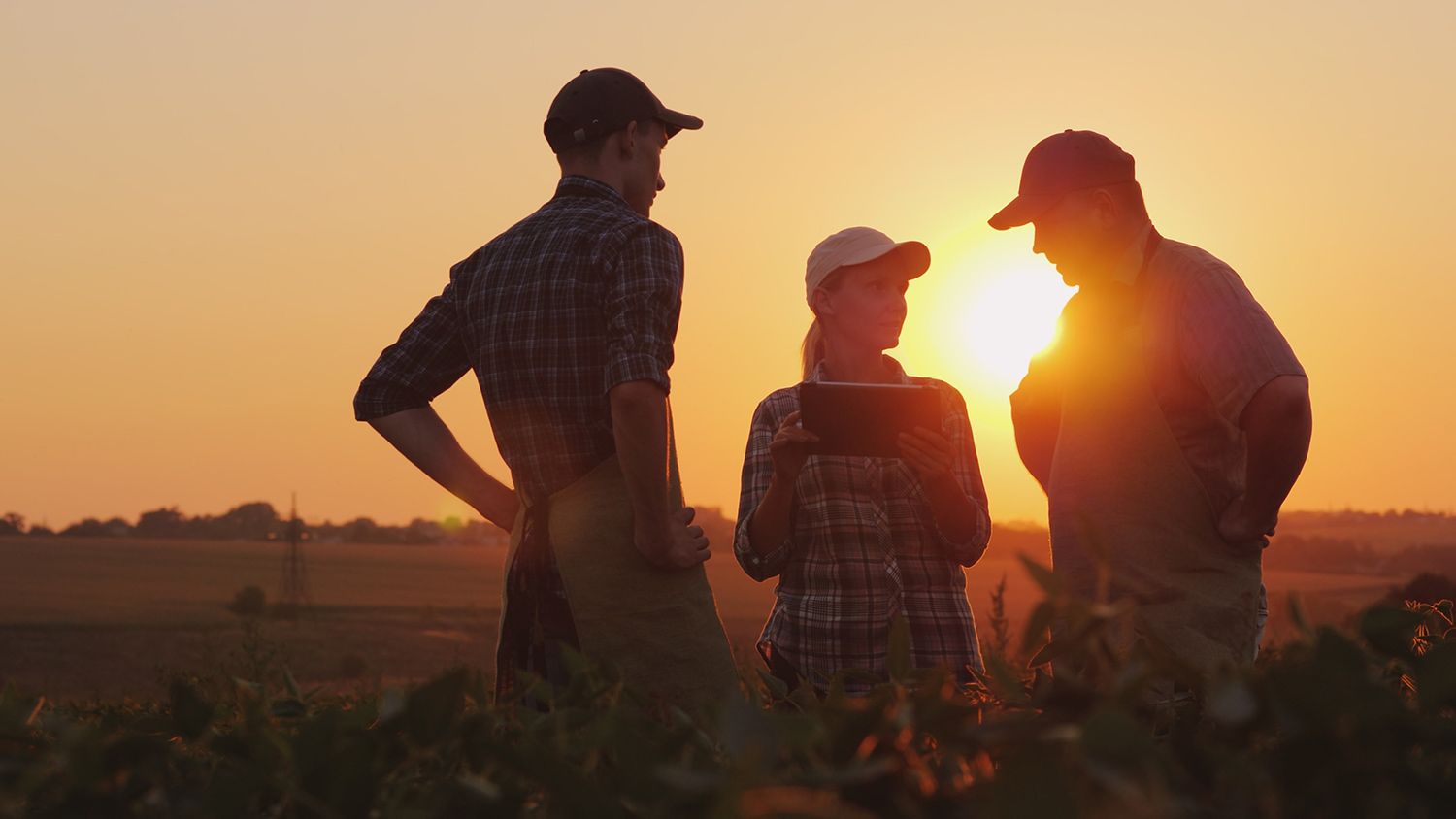 People Talking in Farm — Dodge City, KS — Insurance Center of Kansas LLC People Talking in Farm — Dodge City, KS — Insurance Center of Kansas LLC