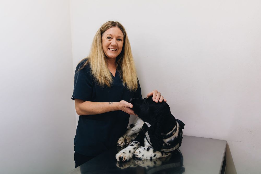 A woman is standing next to a dalmatian dog on a table.