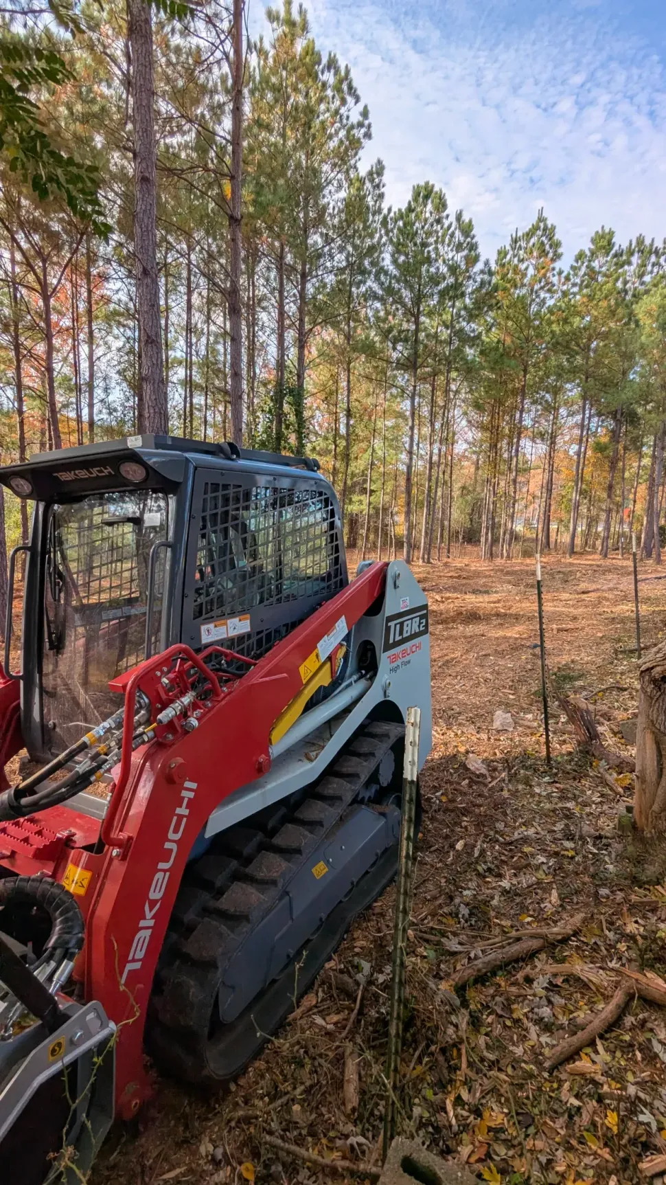 Red skid-steer clearing brush in a pine forest.
