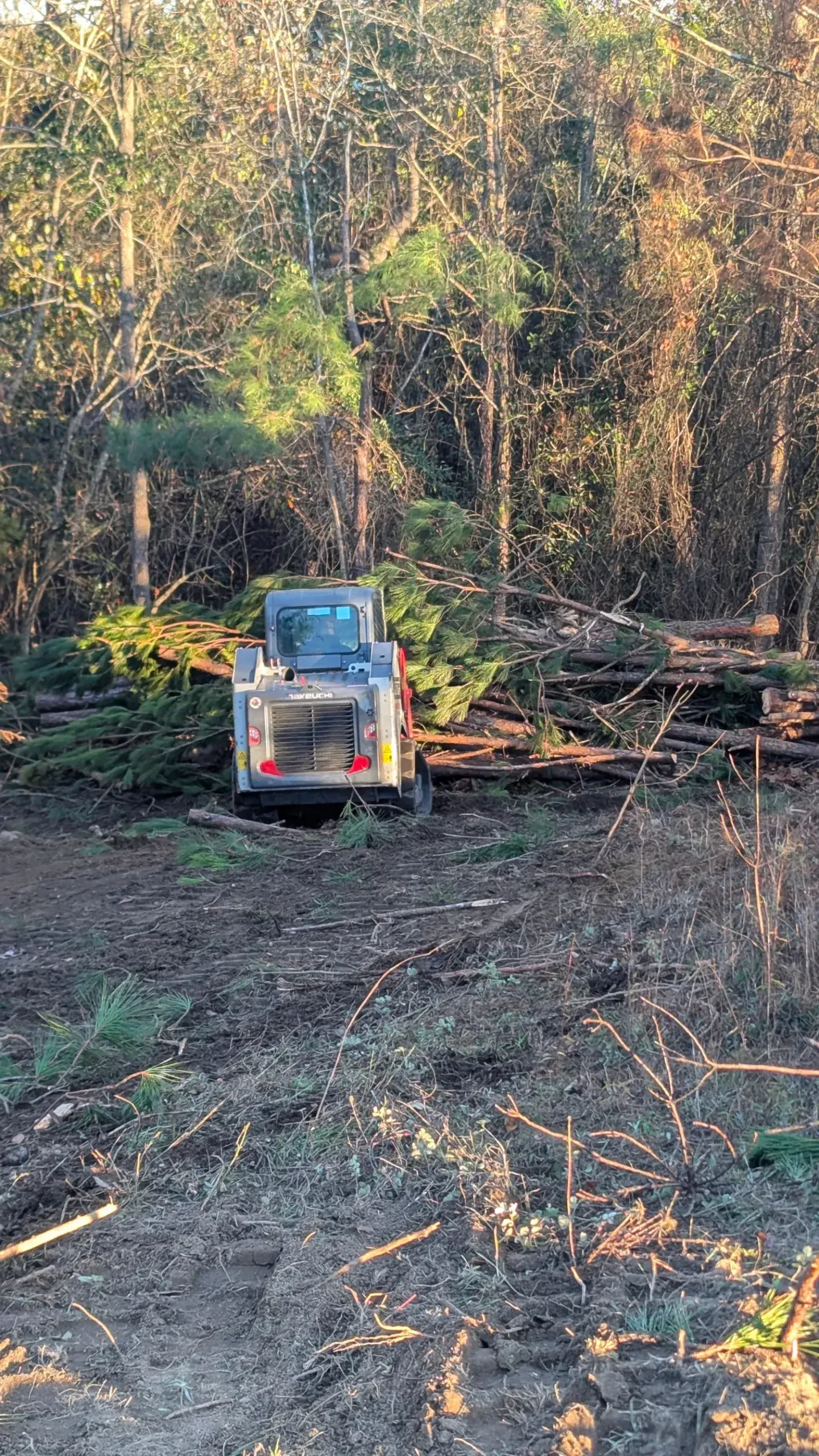 Small skid steer on a muddy dirt path in a wooded clearing, surrounded by cut logs and brush.