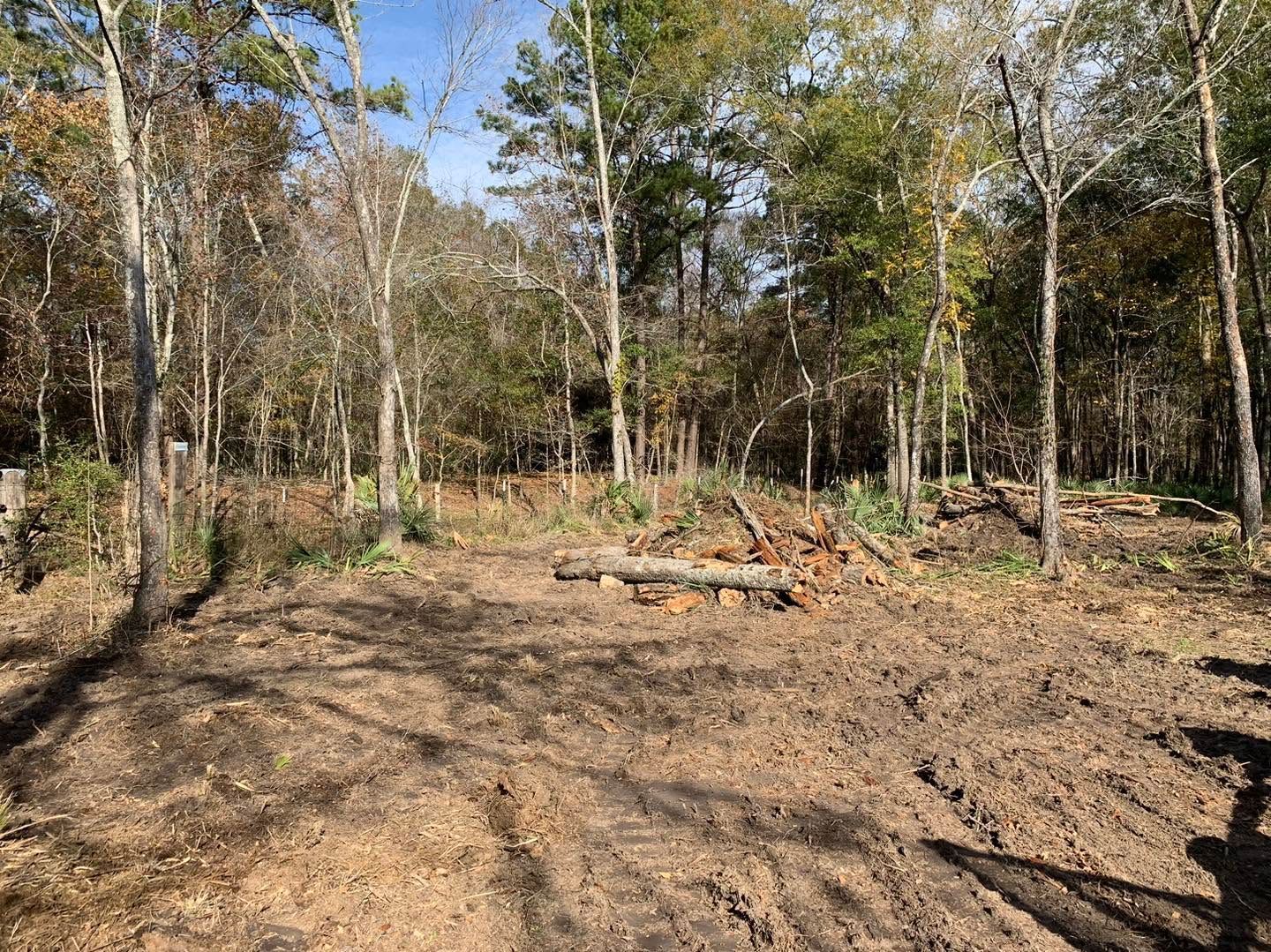Cleared dirt lot beside a wooded area with scattered trees and logs in bright daylight